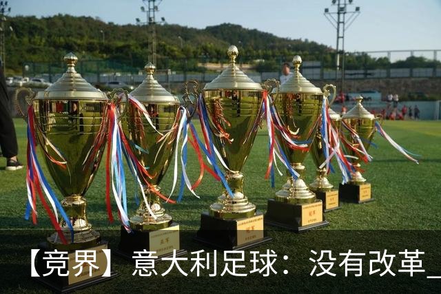 【竞界】意大利足球：没有改革 只有新的补锅匠