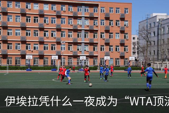 伊埃拉凭什么一夜成为“WTA顶流”、扛把子？郑钦文差在哪里？