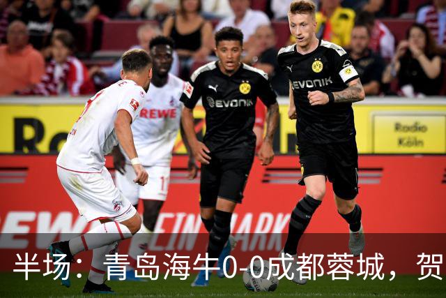 半场：青岛海牛0-0成都蓉城，贺一然、费利佩造险
