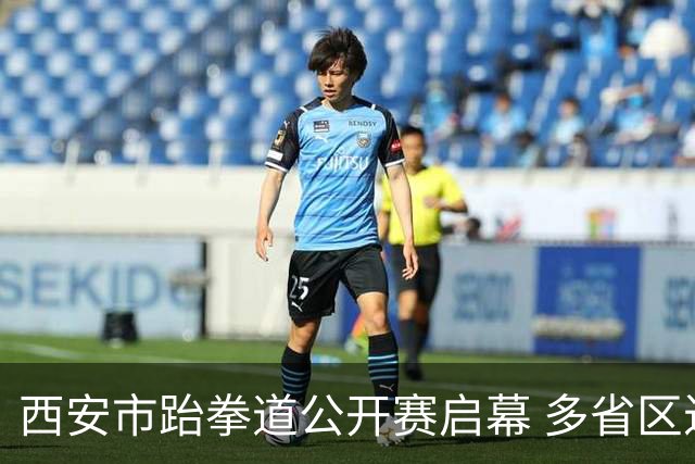 西安市跆拳道公开赛启幕 多省区近500名选手同台竞技